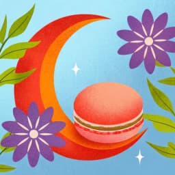 Companheiro de Sono icon